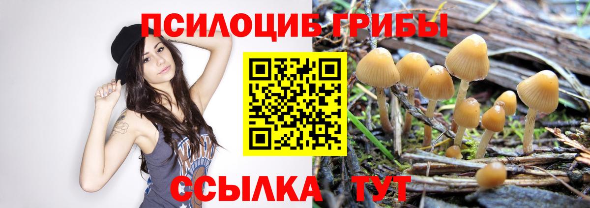 Псилоцибиновые грибы ЛСД  Псилоцибиновые грибы мухоморы  Мирный  Вход с VPN 